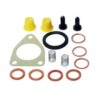 Reparatursatz Förderpumpe F&M