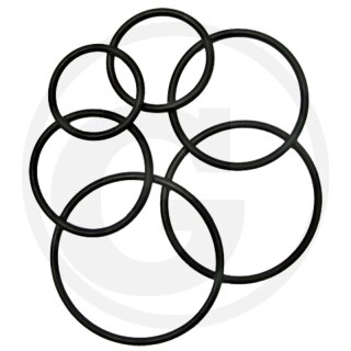 O-Ring 25 x 5