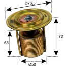 Thermostat Steyr T180a, T182, T185, T280    75 Grad