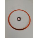 Zylinderkopfdichtung  WT20, 100x110x1