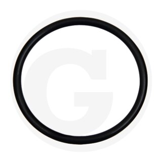 O-Ring 62 x 3