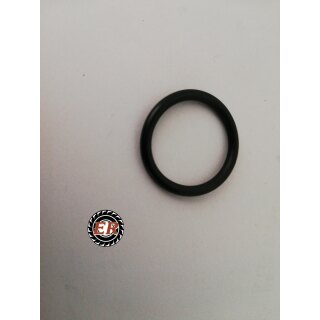O-Ring 20 x 2,5