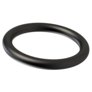 O-Ring 20 x 3 Viton- Präzisionsring / 75 Shore