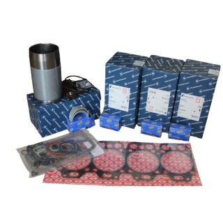 Motorreparatursatz WD 411 passend für Steyr 8070/8075/8080/8085/8090/8095.