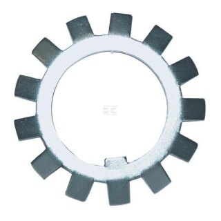 Sicherungsblech für die Nutmutter an der Hinterachse,Baureihe 13 – T 180a, T 182, N180a, N182. N182a