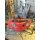 Massey Ferguson 35x Multipower, BJ 1963